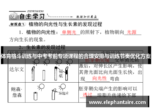 体育格斗训练与中考考前专项课程的合理安排与训练节奏优化方案