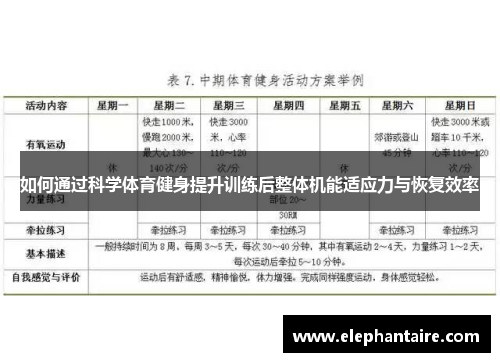 如何通过科学体育健身提升训练后整体机能适应力与恢复效率
